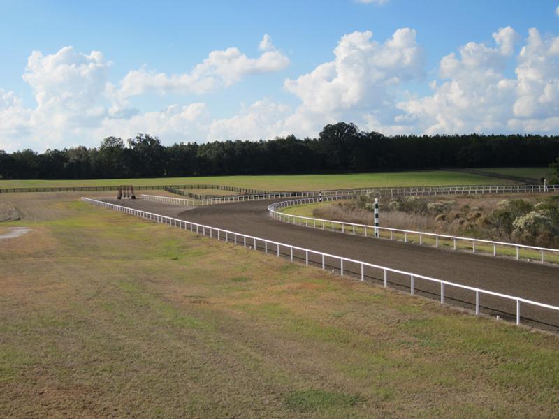 Farm